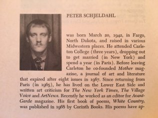 Peter Schjeldahl contributor note 1